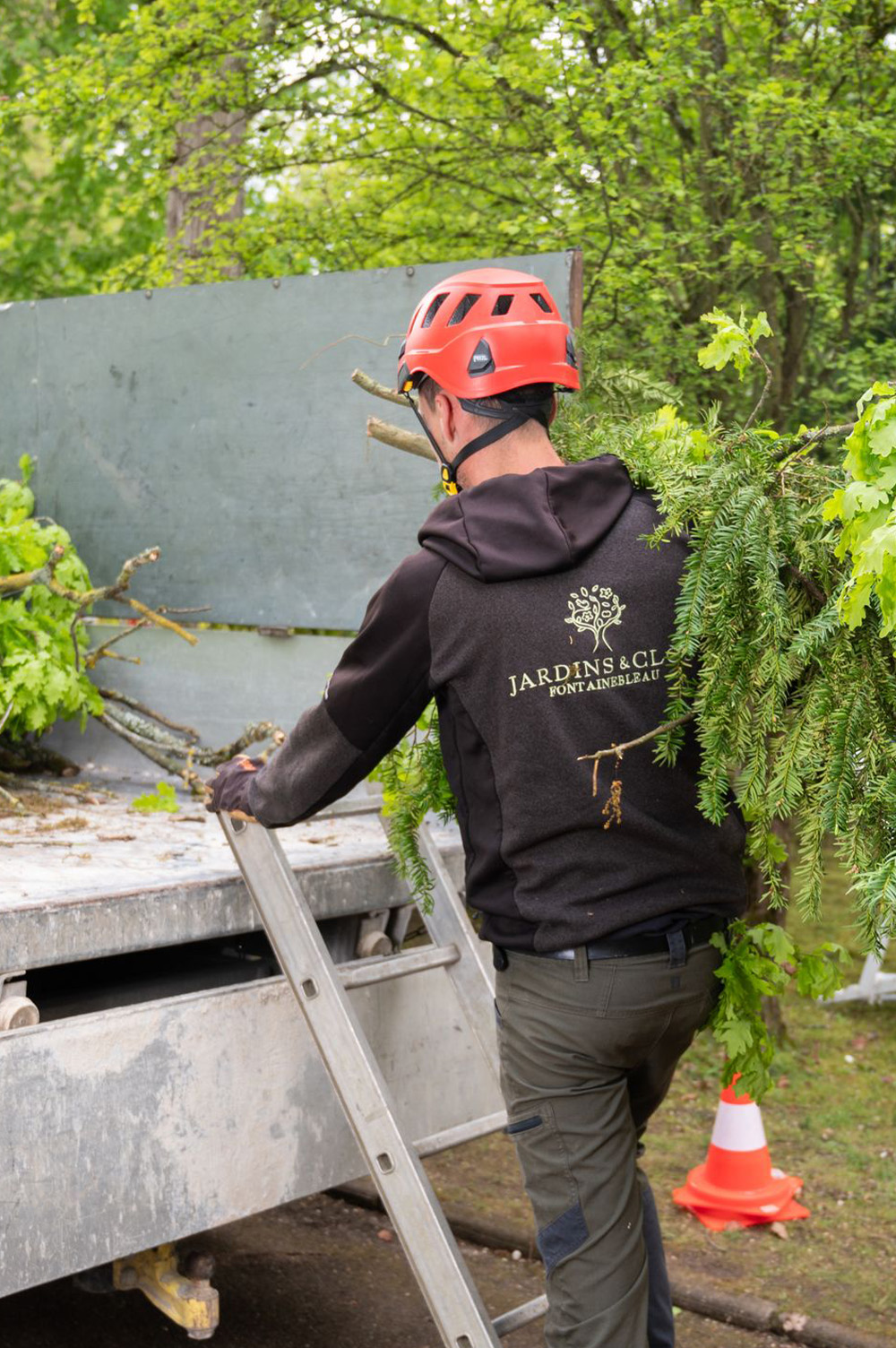 Nos arboristes au service de vos arbres